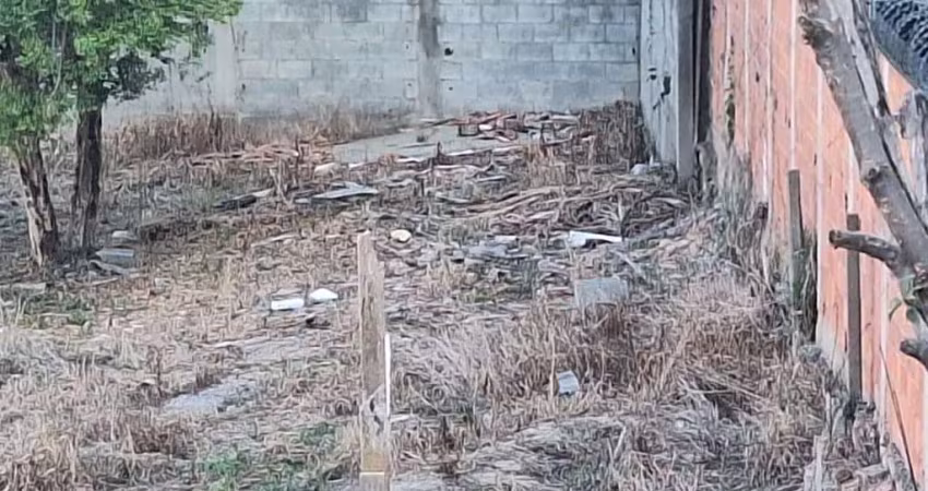 Terreno comercial para alugar na Rua Abadia dos Dourados, 544, Vila Indiana, São Paulo