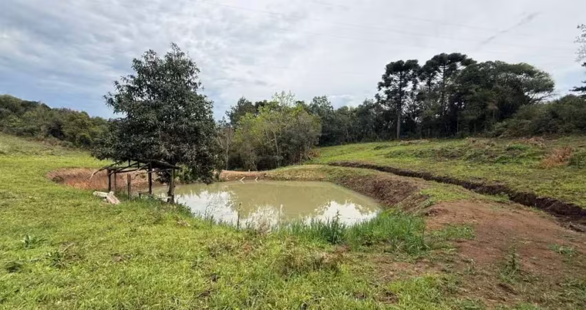 Chácara / sítio à venda na Rural, 1, Zona Rural, Caxias do Sul