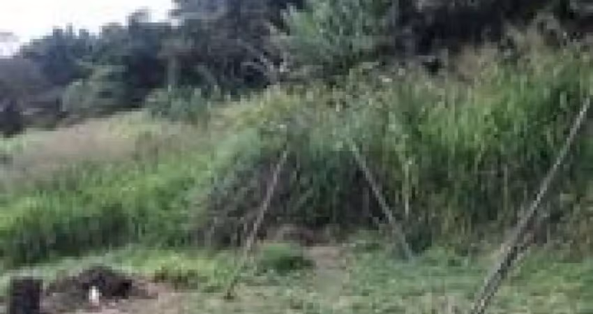 Terreno à venda na Avenida Vasco Massafeli, 55401, Jardim Maria Tereza, Cotia