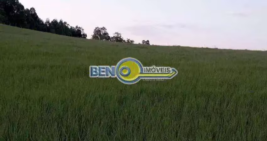 Linda área rural com 10 hectares na fazenda fialho próximo à rs 020 em gravataí.