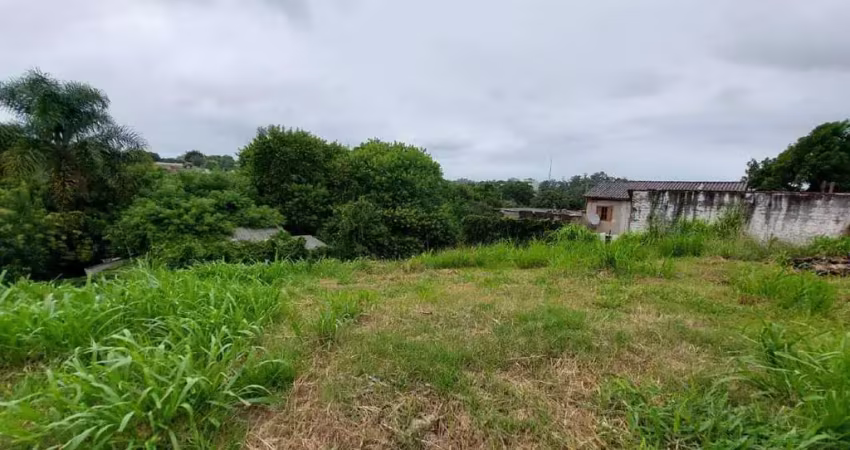 Terreno à venda na Avenida Prefeito Barreto Viana, lado esq 8, Santa Cecília, Viamão