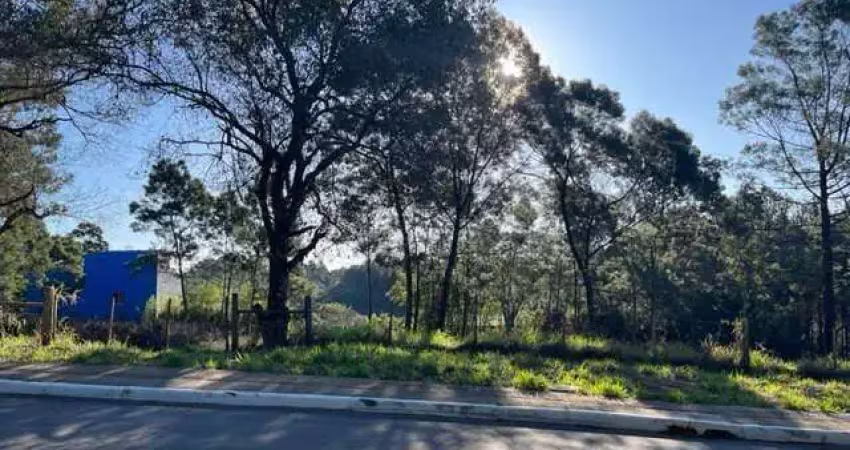 Terreno à venda na Avenida João Carlos Viale Dias, 856 e 862, Tarumã, Viamão