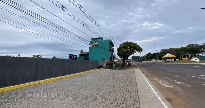 Terreno comercial para alugar na Rodovia Tapir Rocha, 8045, Querência, Viamão