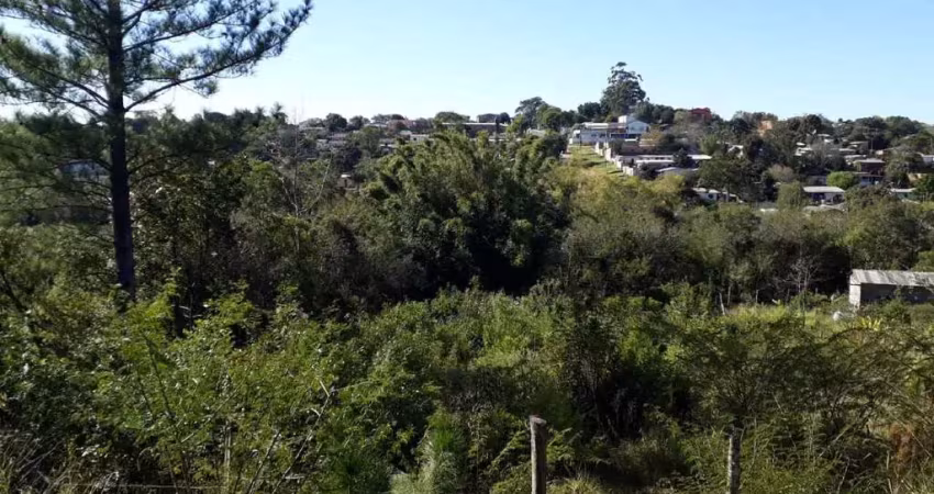 Terreno à venda na Rua Maria Leão, s/n, Vila Augusta, Viamão