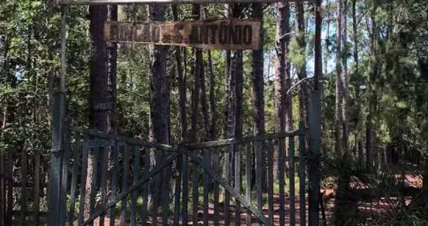 Sítio de 28 hectares com benfeitorias no cantagalo em viamão