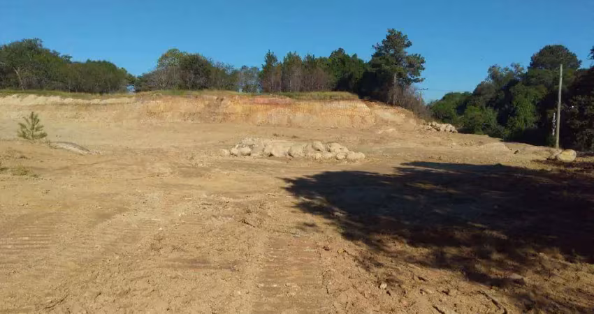 Terreno à venda na Rodovia RS-118, Estalagem, Viamão