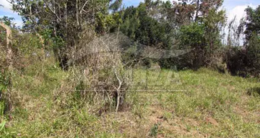 Terreno comercial para alugar na Rodovia RS-040, Águas Claras, Viamão