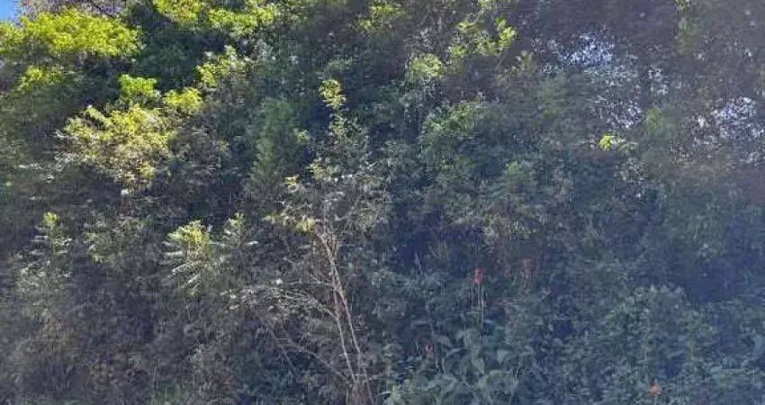 Terreno à venda na Estrada dos Cunha, s/n, Fiuza, Viamão