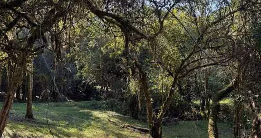Terreno à venda na Beco Capão Bonito, s/n, Fiuza, Viamão