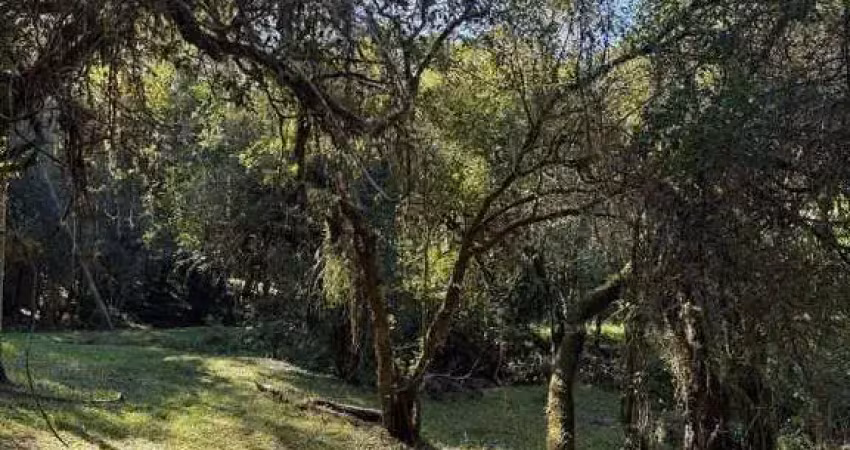 Terreno à venda na Beco Capão Bonito, s/n, Fiuza, Viamão