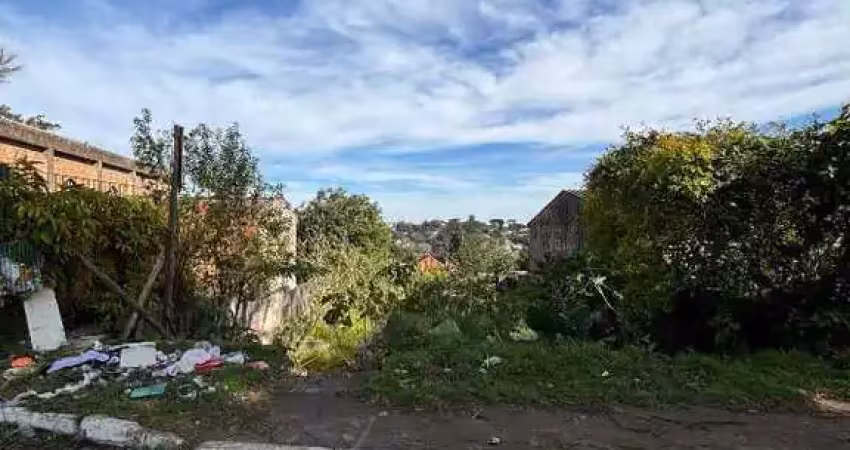 Terreno à venda na Rua dos Coqueiros, s/n, São Lucas, Viamão