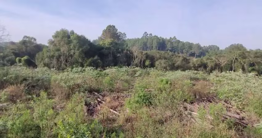 Chácara / sítio à venda na Rodovia Coronel Acrísio Martins Prates, 4076, Fiuza, Viamão
