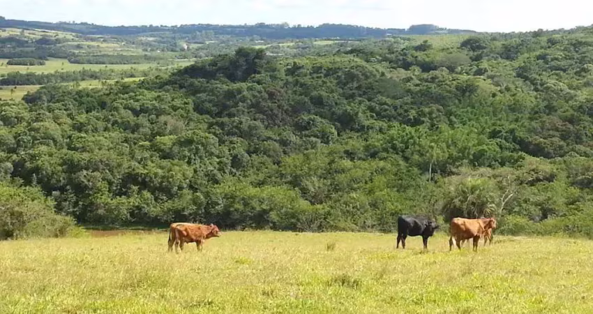 Chácara / sítio à venda na Estrada do Pesqueiro, 3593, Passo da Areia, Viamão