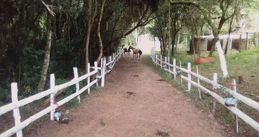 Sítio à venda, 2 quartos, 3 vagas, lomba do pinheiro - viamão/rs
