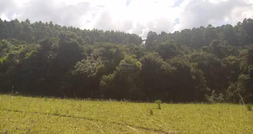 Terreno à venda na Estrada Canta Galo, 2500, Cantagalo, Viamão