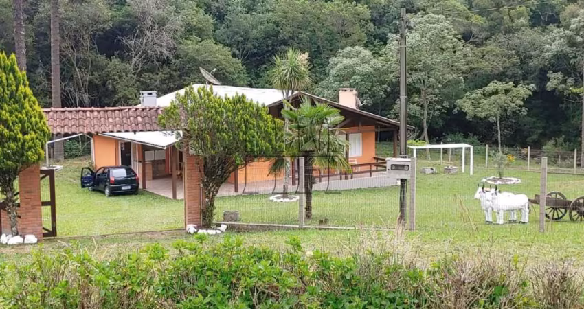 Chácara / sítio com 4 quartos à venda na Rota do Sol, 1, Vila Seca, Caxias do Sul