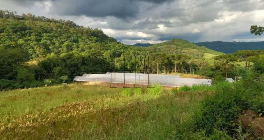 Chácara / sítio à venda no Desvio Rizzo, Caxias do Sul 
