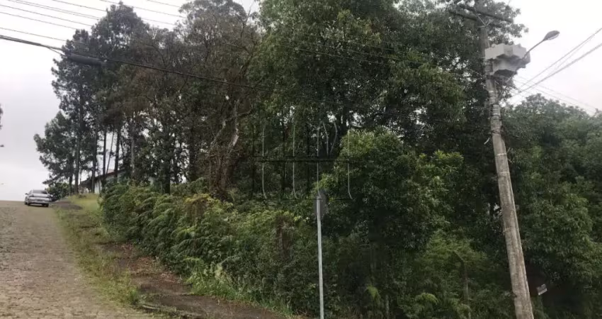 Terreno à venda na Dr. Wilson Bordin, 1, Colina Sorriso, Caxias do Sul
