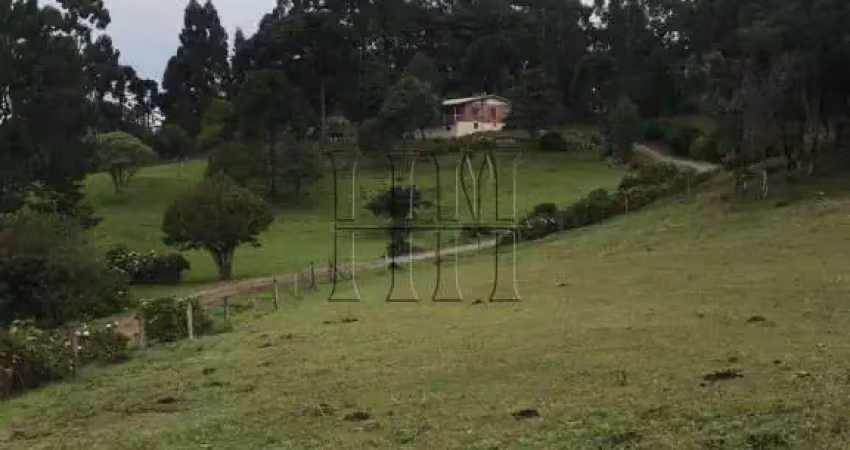 Chácara / sítio com 3 quartos à venda na Travessão Pedro Américo, 1, Serrano, Caxias do Sul