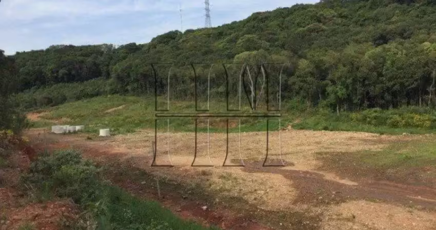Terreno à venda na Rodovia ERS-122, 1, Linha 40, Caxias do Sul
