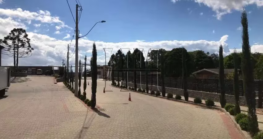 Terreno à venda na Nossa Senhora da Saúde, Caxias do Sul 