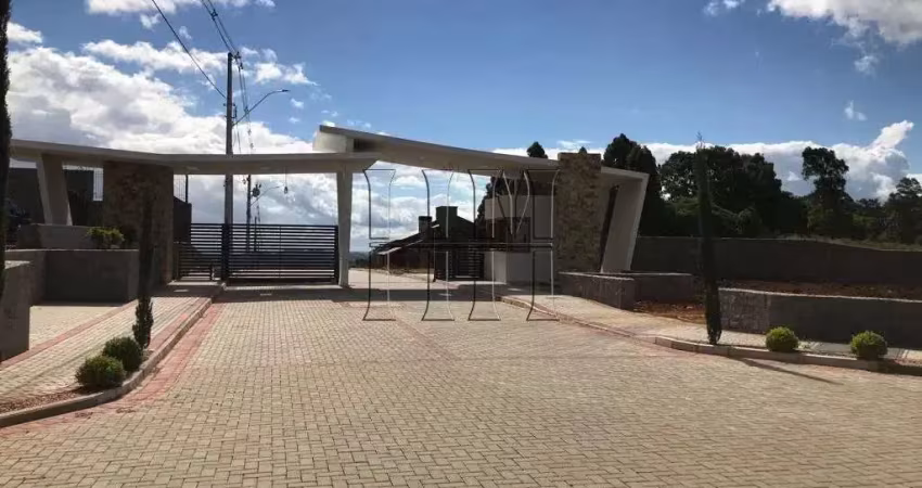 Terreno à venda na Rua Ludovico Cavinato, 1, Nossa Senhora da Saúde, Caxias do Sul