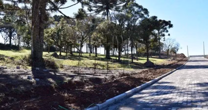 Terreno à venda no São Ciro, Caxias do Sul 