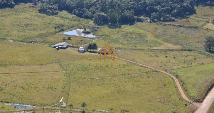Fazenda 3 dormitórios à venda britadeira são francisco de paula/rs