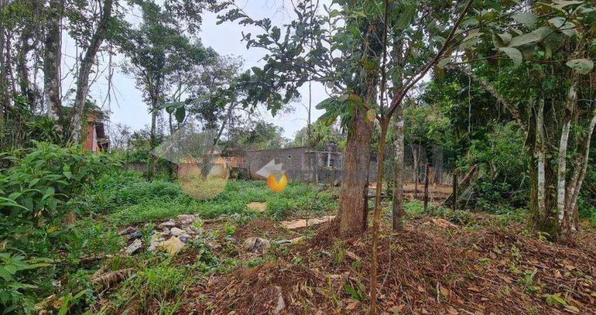 Terreno à venda, 360 m² por R$ 169.000,00 - Massaguaçu - Caraguatatuba/SP