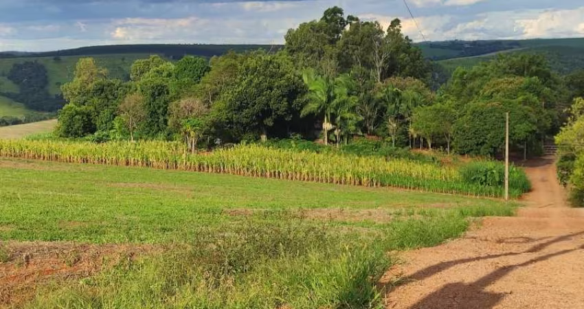 Chácaras, Zona Rural  em Vera Cruz do Oeste/PR