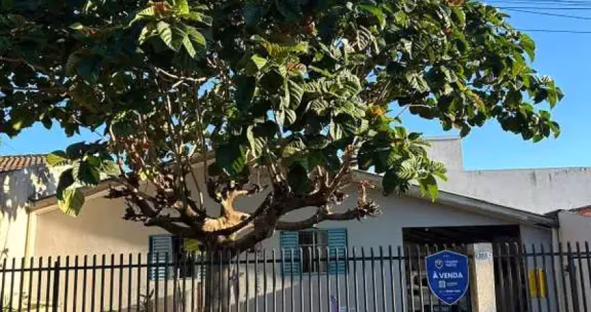 Casas, Floresta em Cascavel/PR