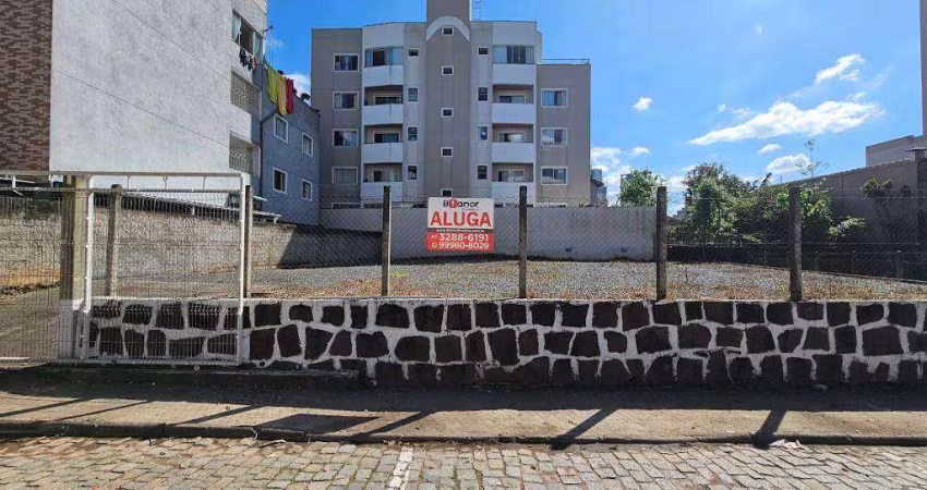 Terreno para alugar, 385 m² por R$ 2.325,00/mês - Centro - Blumenau/SC