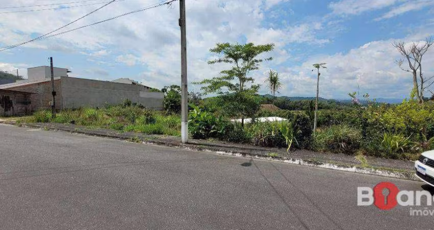 Terreno à venda, 4658 m² por R$ 570.000,00 - Fortaleza Alta - Blumenau/SC