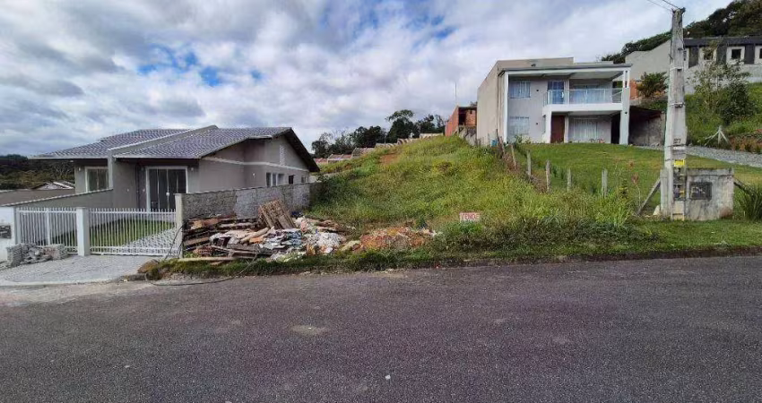 Terreno à venda, 390 m² por r$ 178.000,00 - itoupava central - blumenau/sc