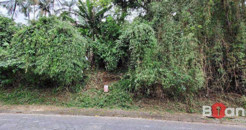 Terreno à venda, 2316 m² por R$ 219.000,00 - Salto do Norte - Blumenau/SC