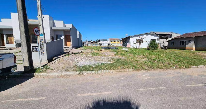 Terreno à venda, 360 m² por R$ 199.000,00 - Figueira - Gaspar/SC