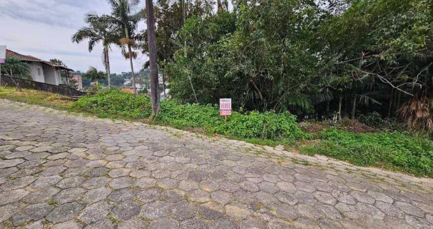 Terreno à venda, 500 m² por r$ 475.000,00 - escola agrícola - blumenau/sc