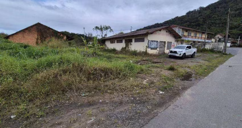 Galpão à venda, 600 m² por r$ 4.000.000,00 - itoupava central - blumenau/sc