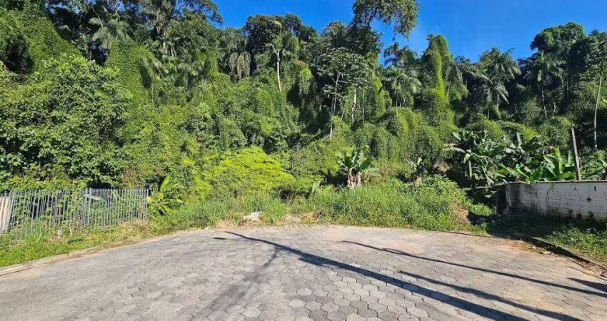 Terreno à venda, 22176 m² por r$ 950.000,00 - fortaleza - blumenau/sc
