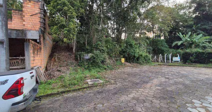 Terreno à venda, 456 m² por r$ 400.000,00 - escola agrícola - blumenau/sc