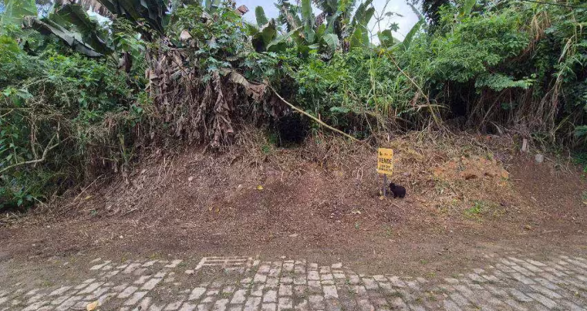 Terreno à venda, 430 m² por r$ 150.000,00 - escola agrícola - blumenau/sc