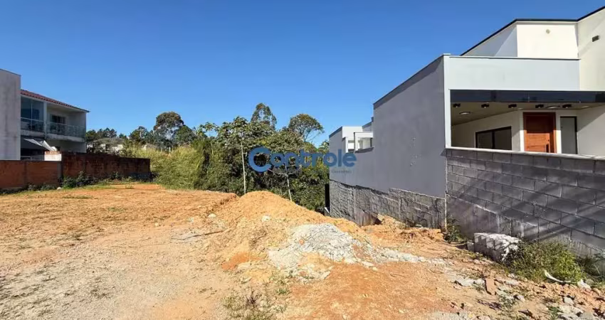 Terreno comercial à venda na Renato Borges Nunes, Potecas, São José