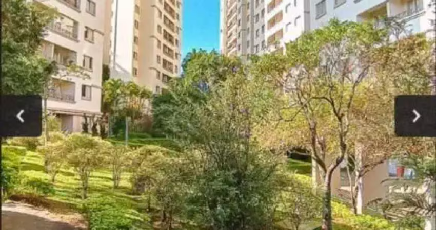 Apartamento com 3 quartos, 69.00m2, à venda em são paulo, vila isa