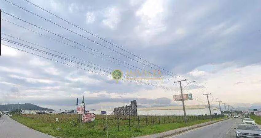 Terreno comercial para alugar na Rua Jaci Schlichting de Lins, 1, Praia Comprida, São José