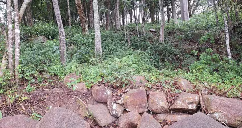 Terreno frente mar com 3643m² à venda em sambaqui - florianópolis.