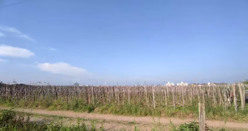 Terreno à venda na Rua Duzentos e Noventa, 1, Guarda do Cubatão, Palhoça