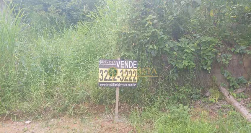 Terreno à venda na Rua Do Ipê, 1, São Francisco, Santo Amaro da Imperatriz