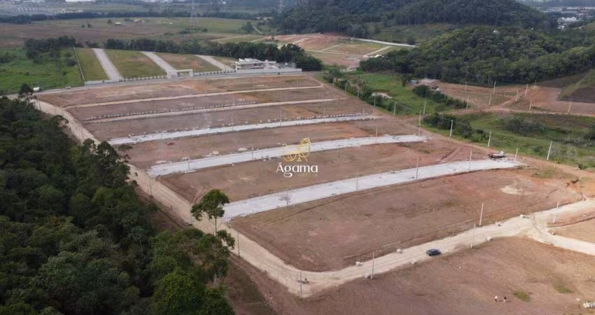 Lote plano livre de enchente parcelamento direto em 240x