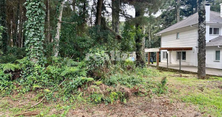 LINDO TERRENO PLANO EM CANELA, Vila Luiza, Canela - RS