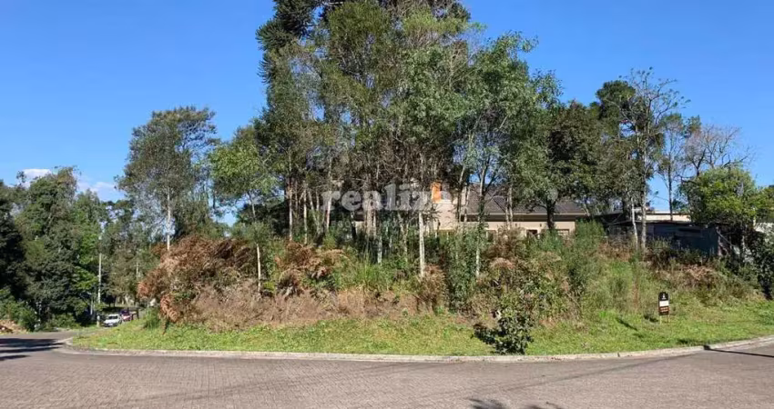 Terreno à venda na Rua Arthur Renheimer, Vivendas do Arvoredo, Gramado